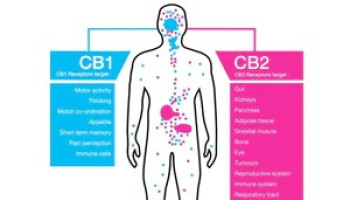 Medicinal Cannabis and Chronic Pain Outcome Improvement Activity